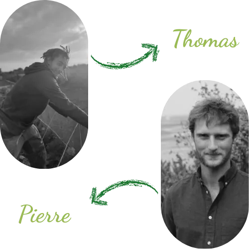 entretien d espace vert plougasnou